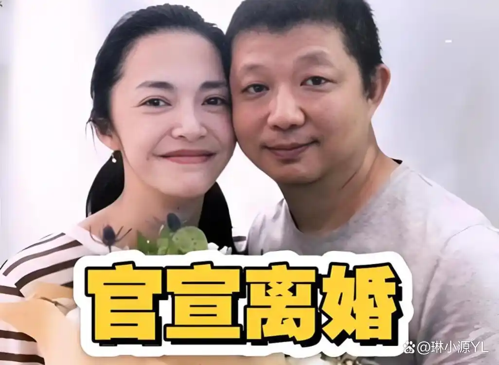姚晨曹郁离婚细节_姚晨侯雯元绯闻辟谣_又一对明星离婚互爆黑料,